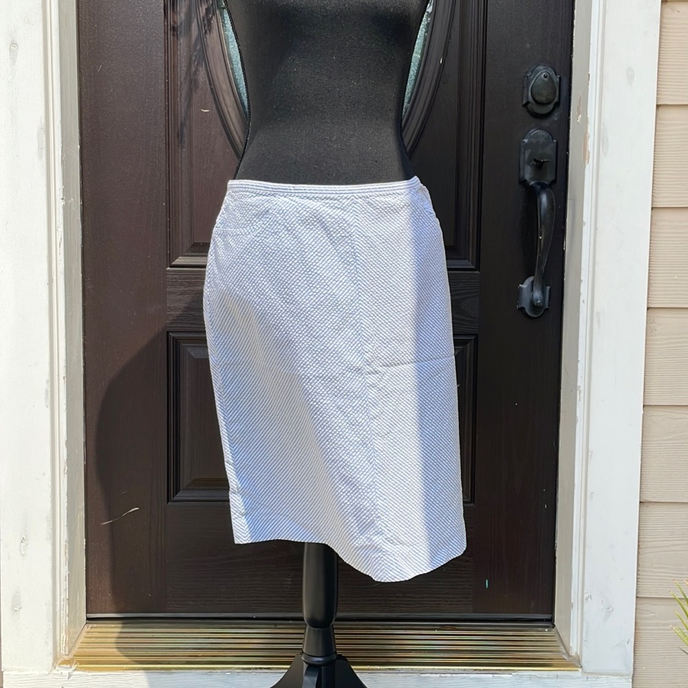 Ann Taylor Blue & White Striped Skirt!